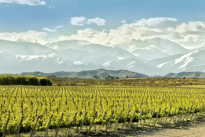 Mendoza Wineries Luxury Argentina Travel Ker Downey HERO