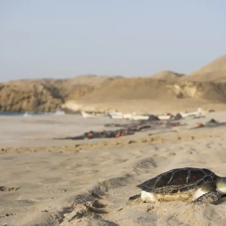 Best Places To Travel In September Ker Downey Oman