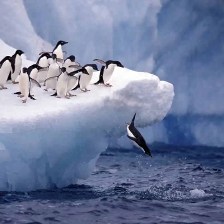 Best Places To Travel In November Luxury November Travel November Antarctica