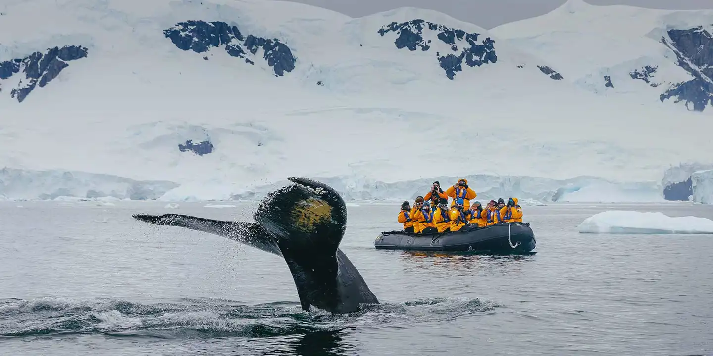 Quarkexpeditions
