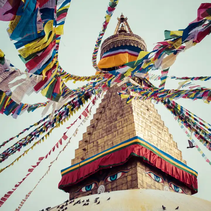 Website Nepal Hero Image