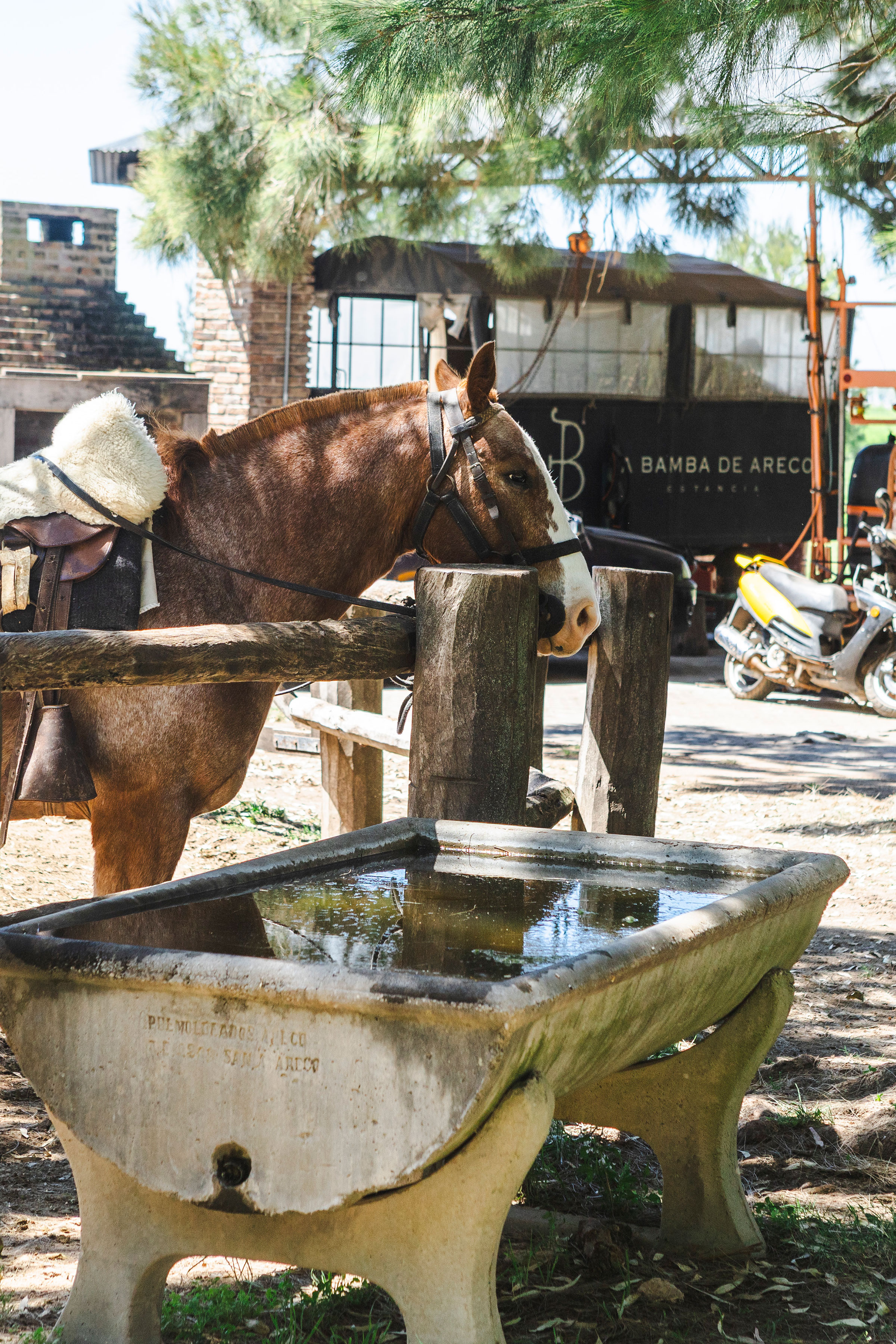 Buenos Aires 2025 20 55101753588 O (1)