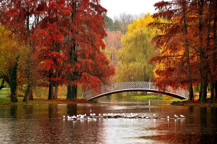 Best Places To Travel In November Romania Ker Downey