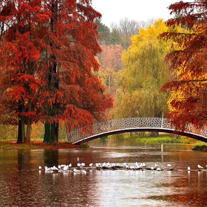 Best Places To Travel In November Romania Ker Downey