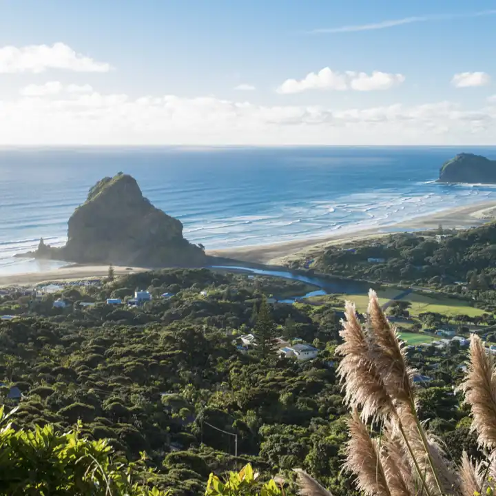 Istock 000062101354 Xxxlarge North Island