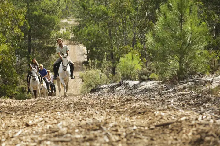 Lusitano Luxury Portugal Horseback Riding Tour FEATURE