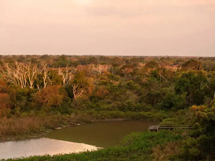 Pantanal Brazil Luxury Travel