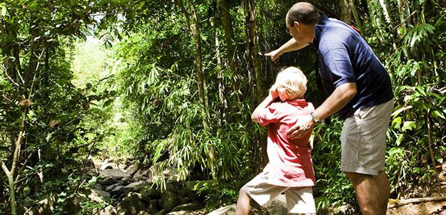 Multigenerational Travel