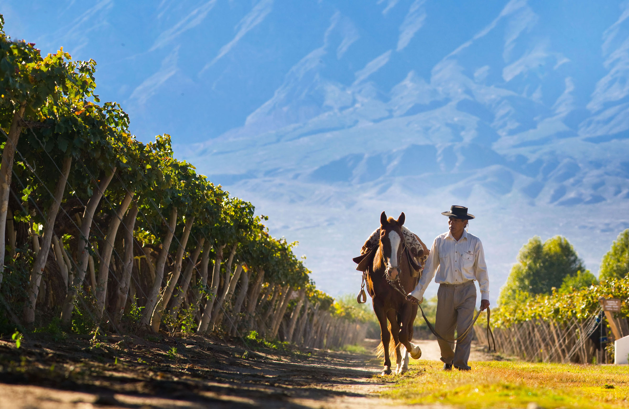 Northwest Argentina Fine Wines And Frontiers HERO Grace Cafayate