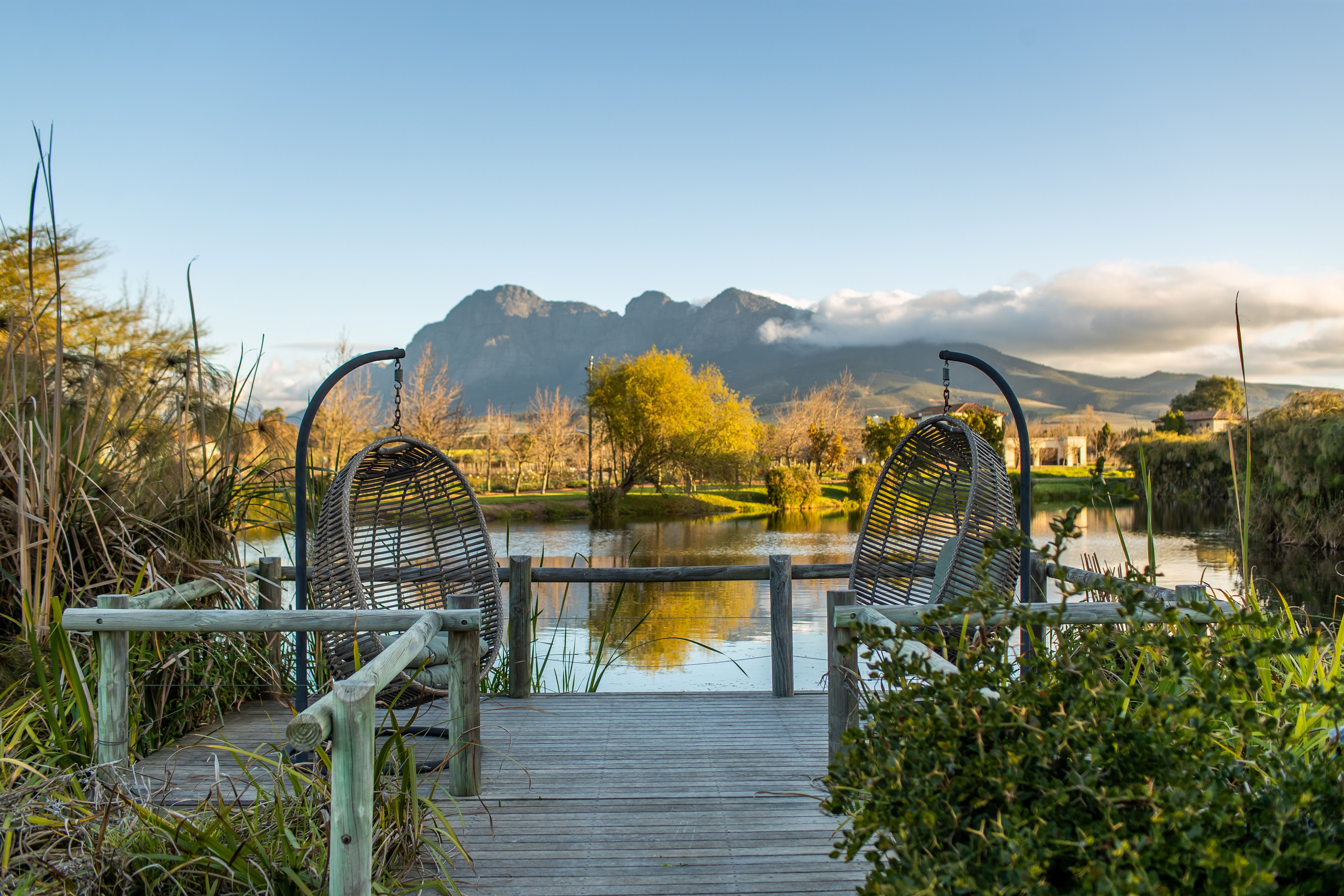 South Africa Wellness Tour - Overlooking the Mountains of the Cape Winelands