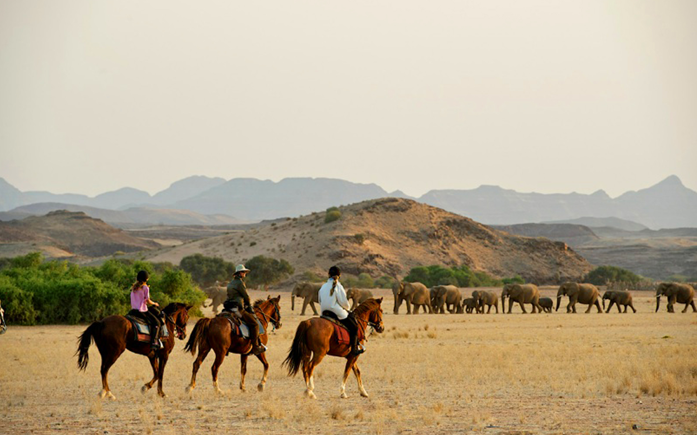 The Namibia Horse Safari By Ker & Downey HERO Damara Elephant Safari