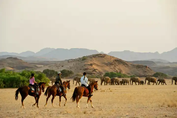 The Namibia Horse Safari By Ker & Downey HERO Damara Elephant Safari