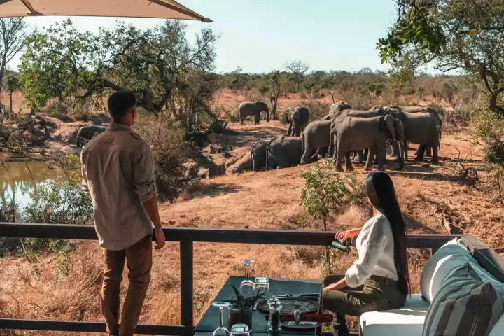 On Safari In Southern Africa FEATURE Royal Malewane