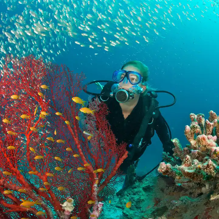 Istock