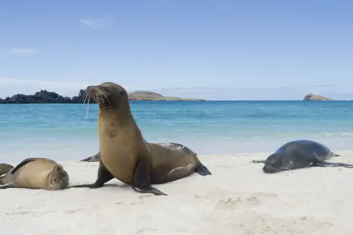 Galapagos Getaway HERO