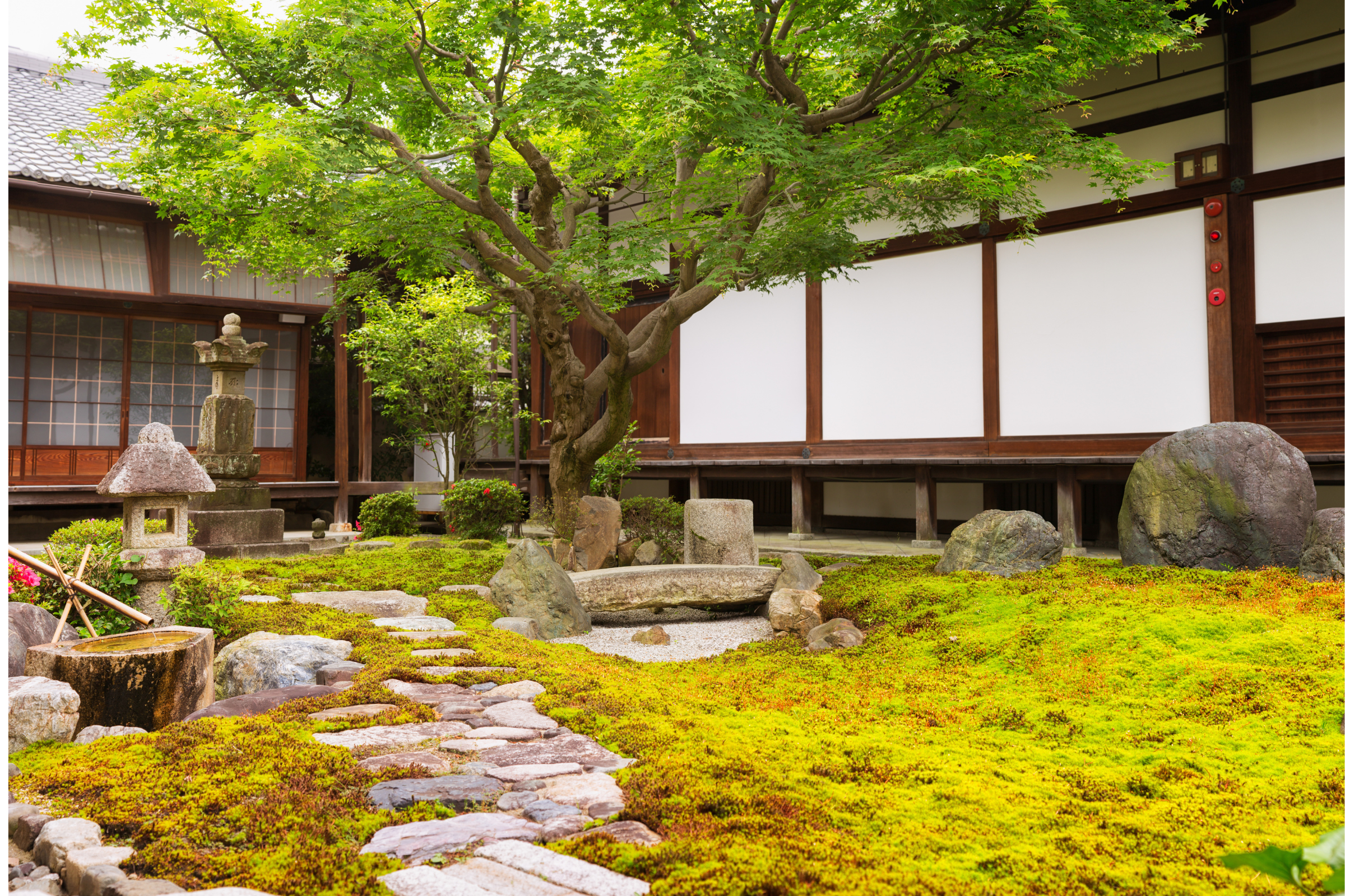 Japan Moss Garden Blog
