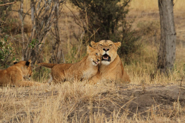 17 Jaw Dropping African Photos and how we captured them