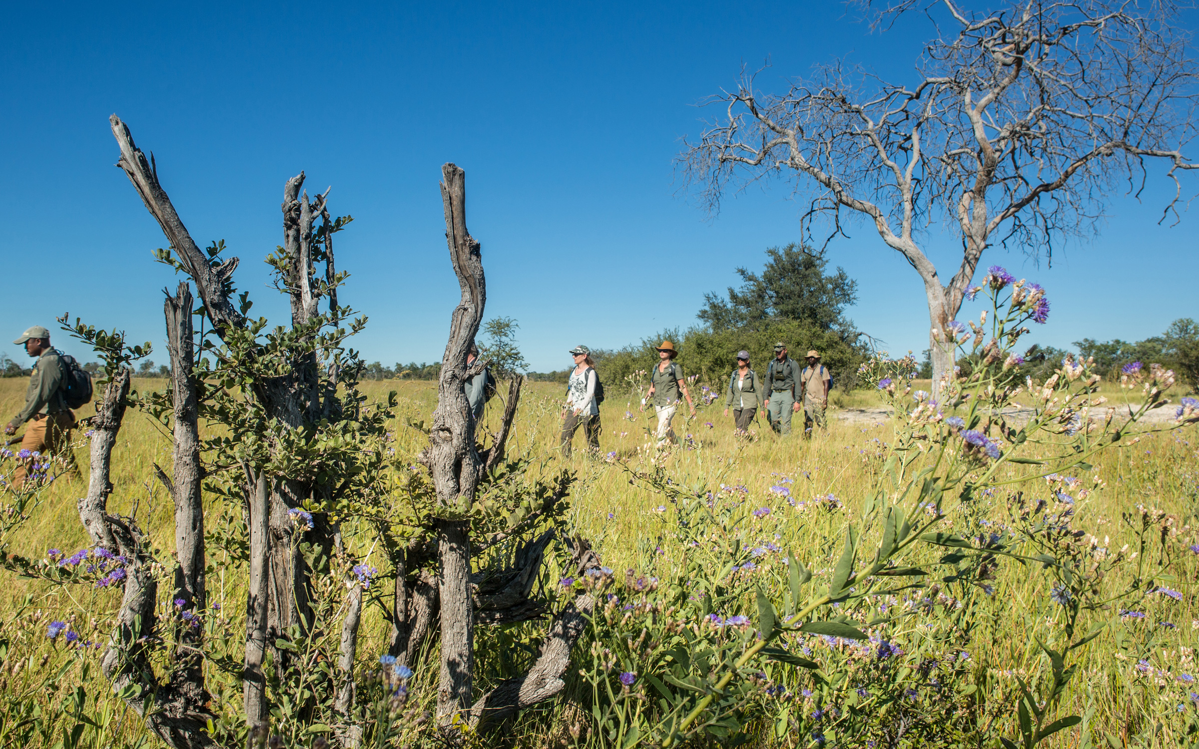 The Botswana Walking Safari By Ker & Downey HERO Selinda Explorers