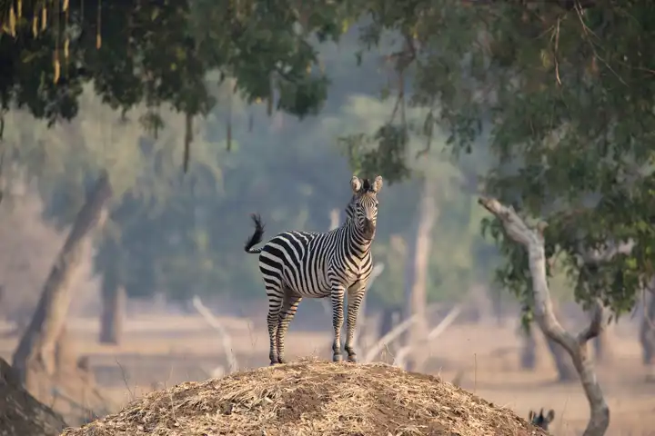 The Zimbabwe Adventure Safari By Ker & Downey HERO