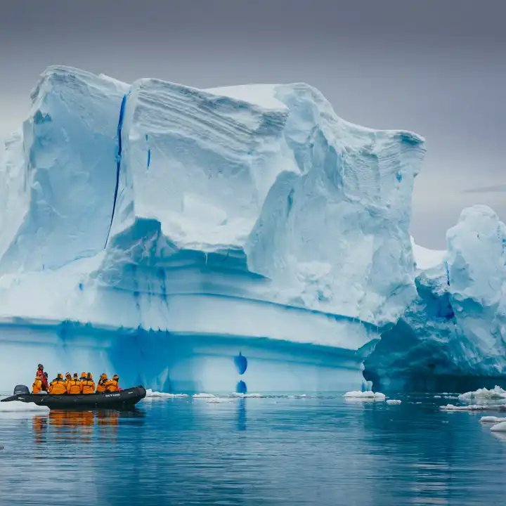 Davidmerronuntitled 945Quark Expeditions Antarctica Arctic.