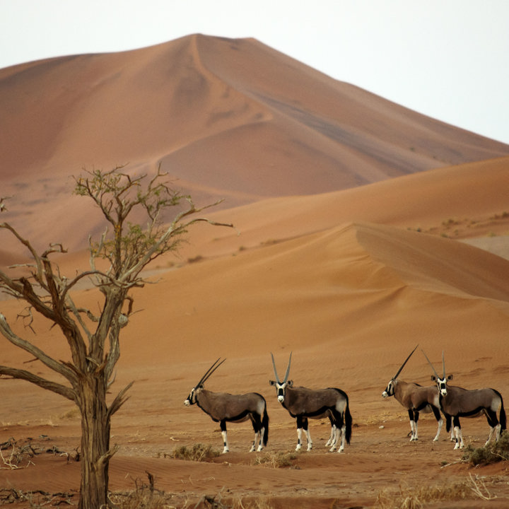 trip to namibia packages