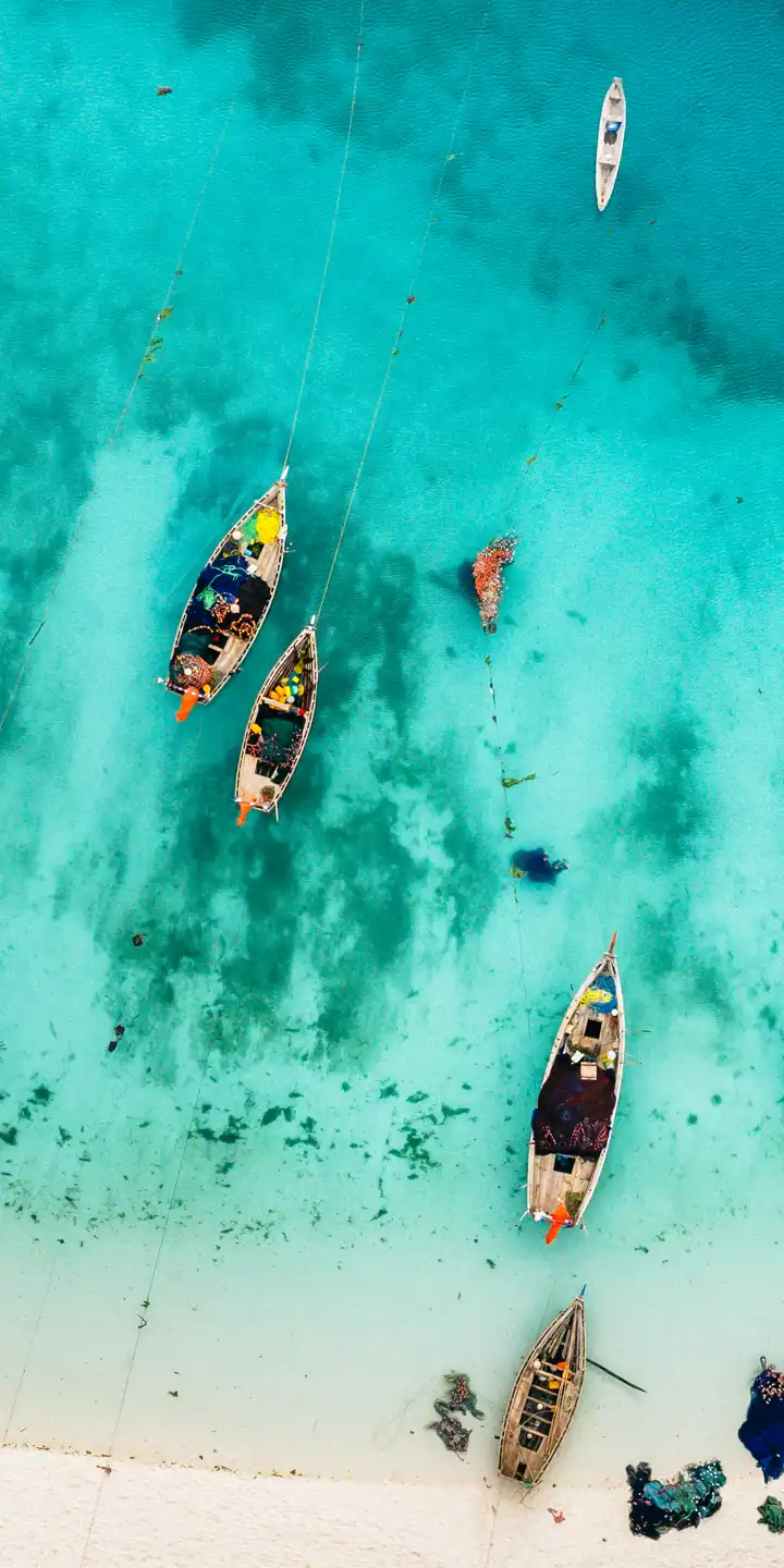 Zanzibar