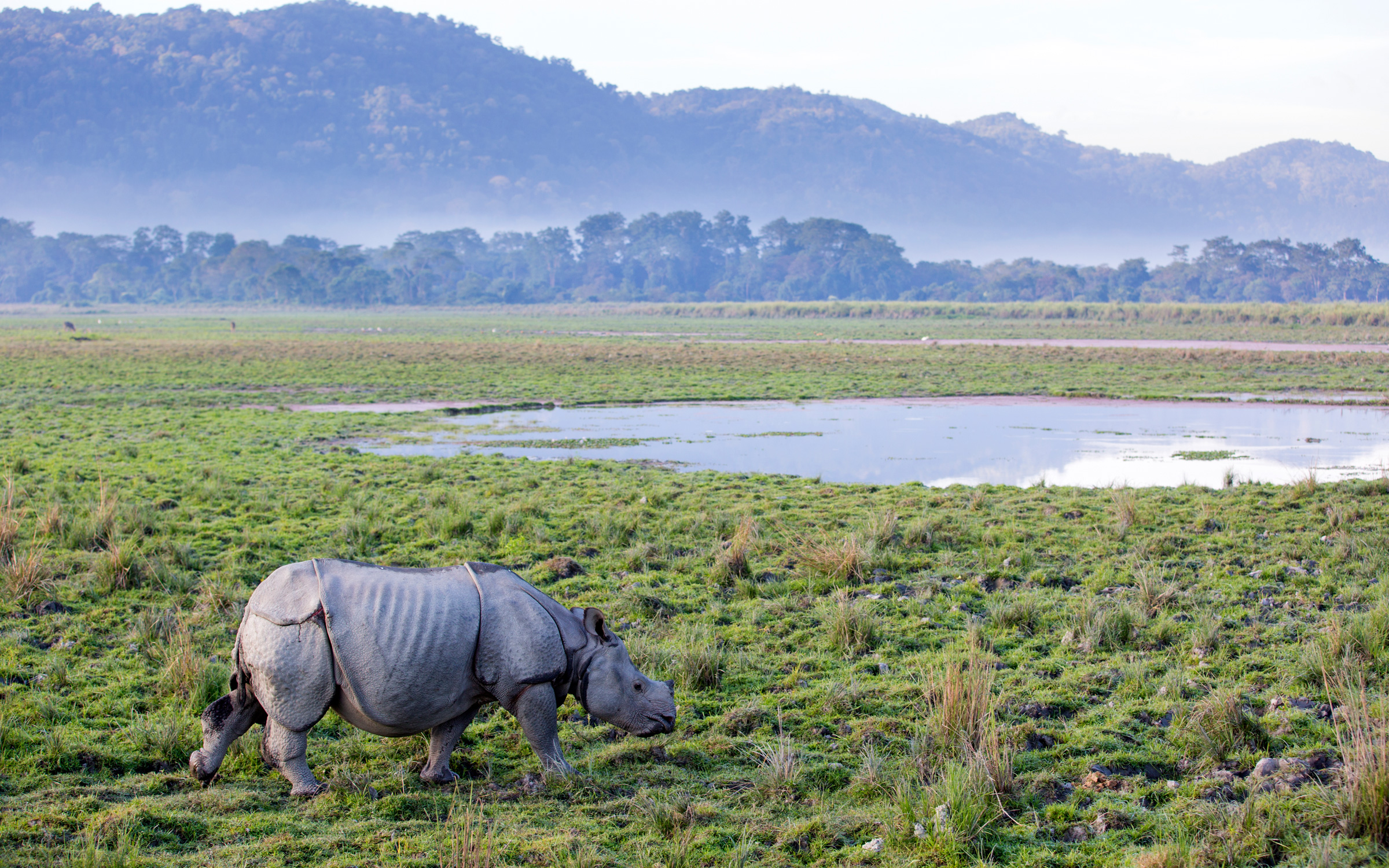 Endangered Eight HERO