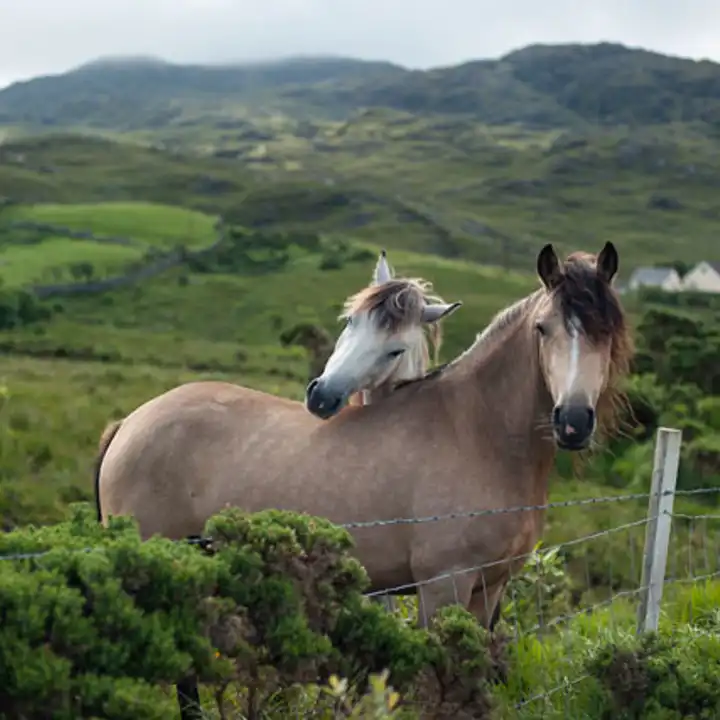 Best Places To Travel In April Luxury Ireland Travel Ker Downey