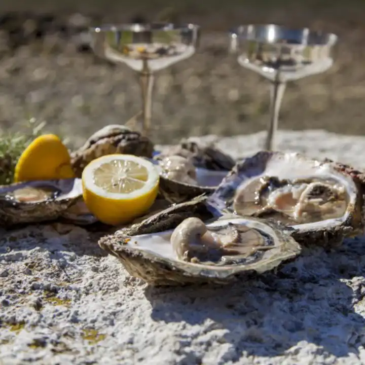 The Top Ten Must Dos In Croatia Ker Downey Oyster