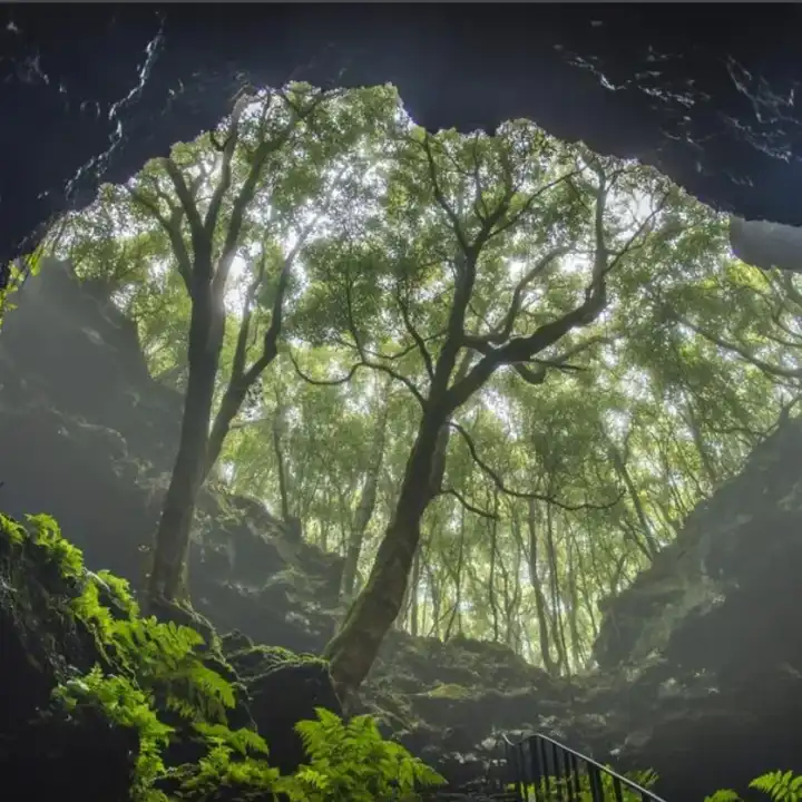 Azores Bucket List 15 Best Things To Do In The Azores 8. Grotto