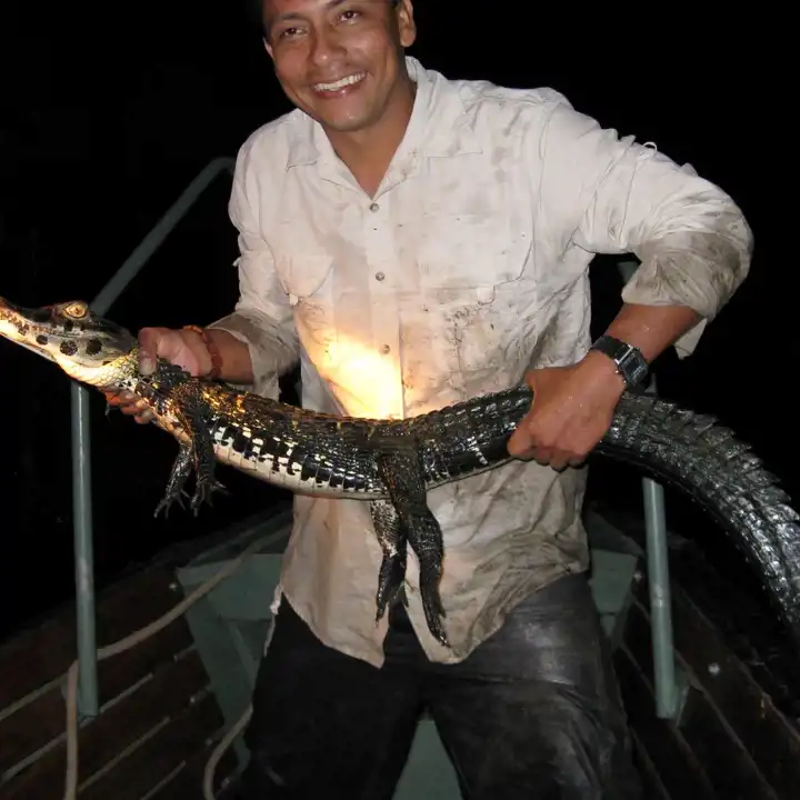 Best Peru Amazon Experiences Top 5 Experiences To Add To Your Itinerary Delfin Caiman