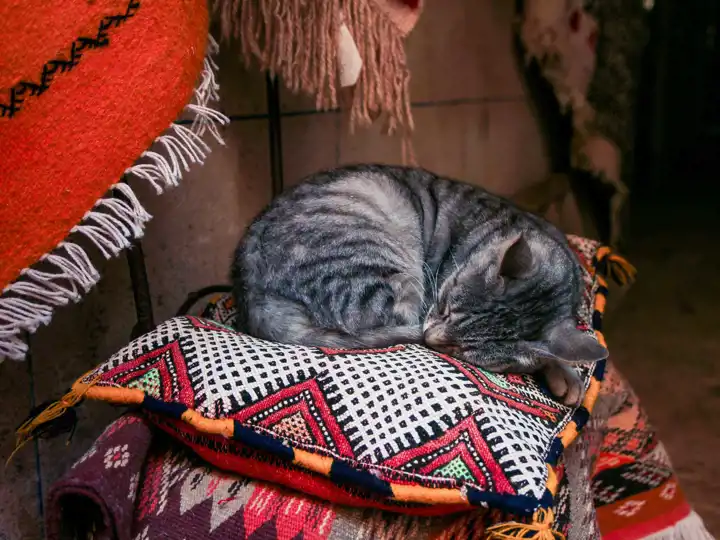 Morocco Travel Ker Downey Samuel C Unsplash