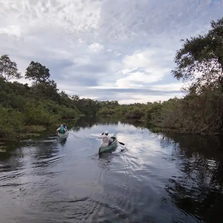 Pantanal Luxury Safari Brazil Jaguar Safari Ker Downey5