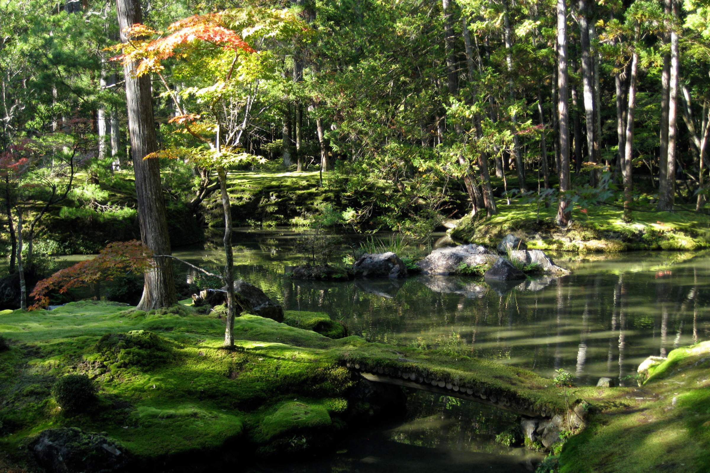 Kyoto Moss Gardens | Moss Garden Japan | Ker & Downey World Travel