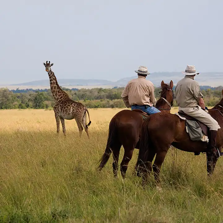 Horseback Riding Safaris In Kenya