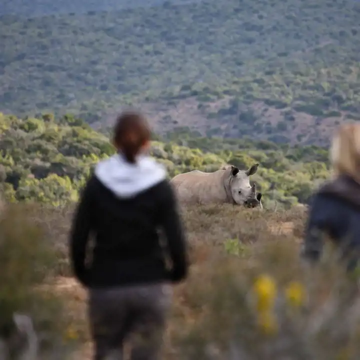 A South Africa Family Safari HERO Kwandwe Private Game Reserve