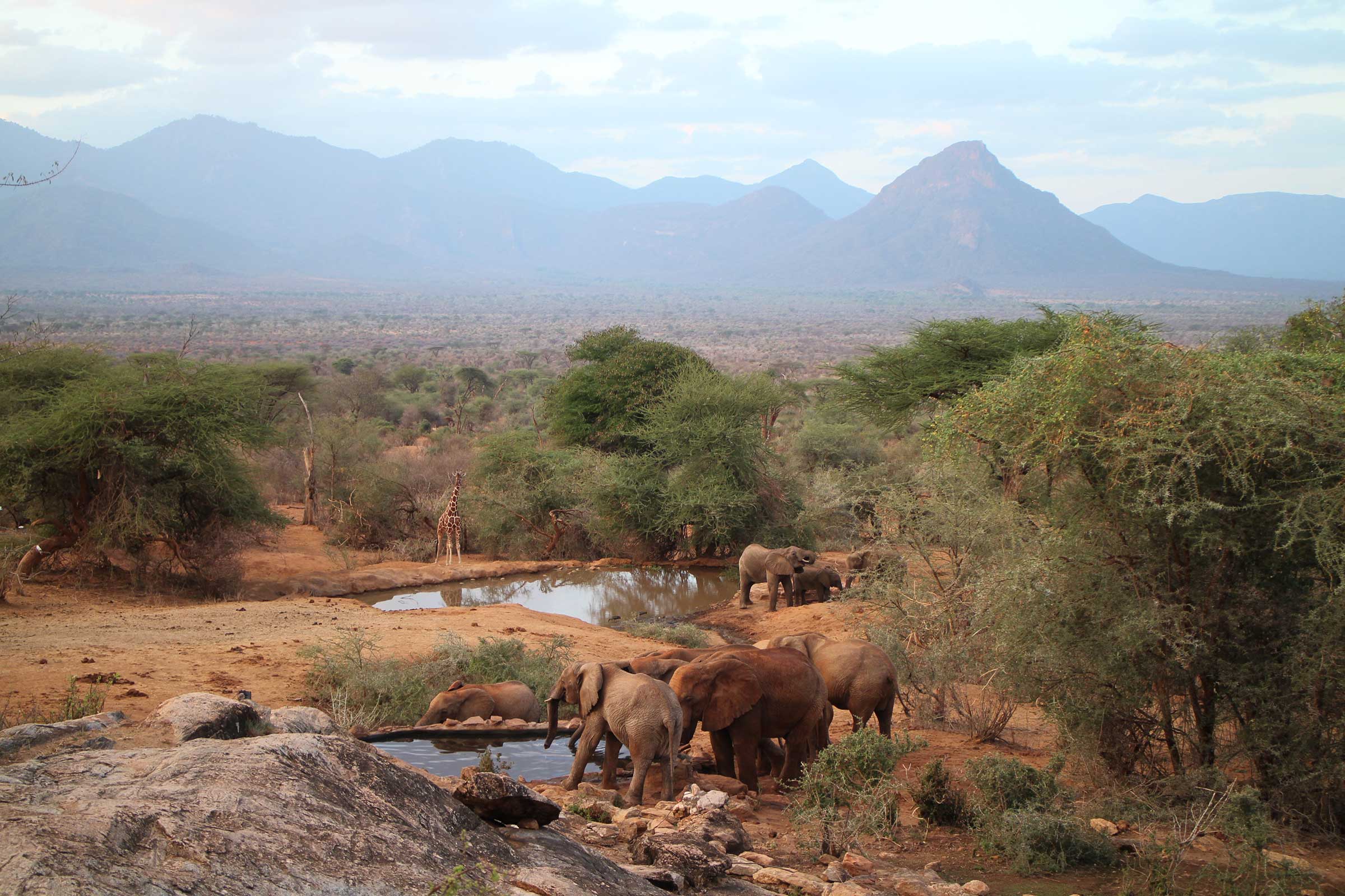 Sarara Camp - Luxury Kenya Safari