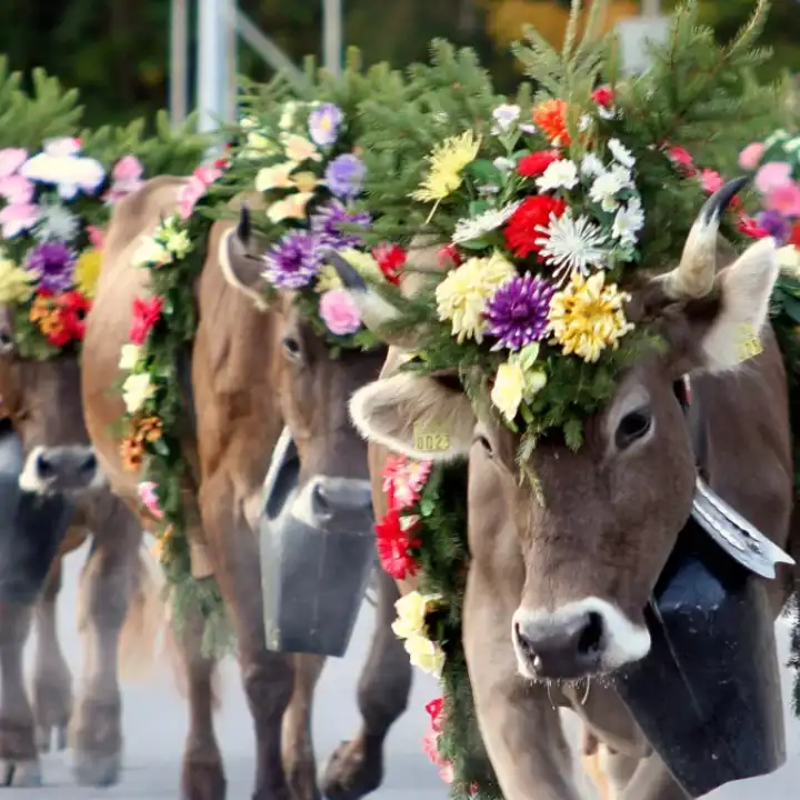 Best Places To Travel In September Appenzell
