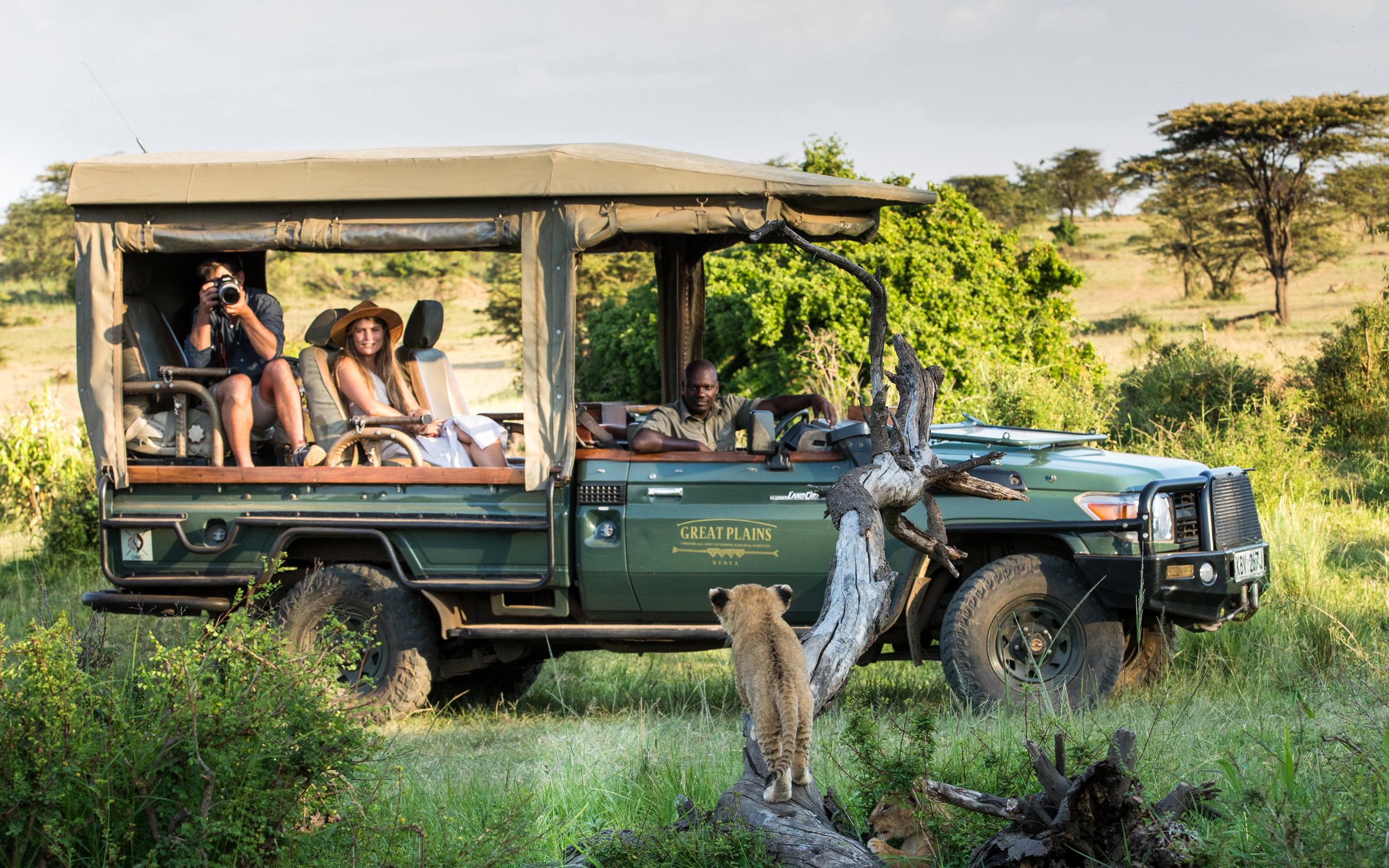 Curious lion cub - Land of the Masai - Kenya Luxury Travel