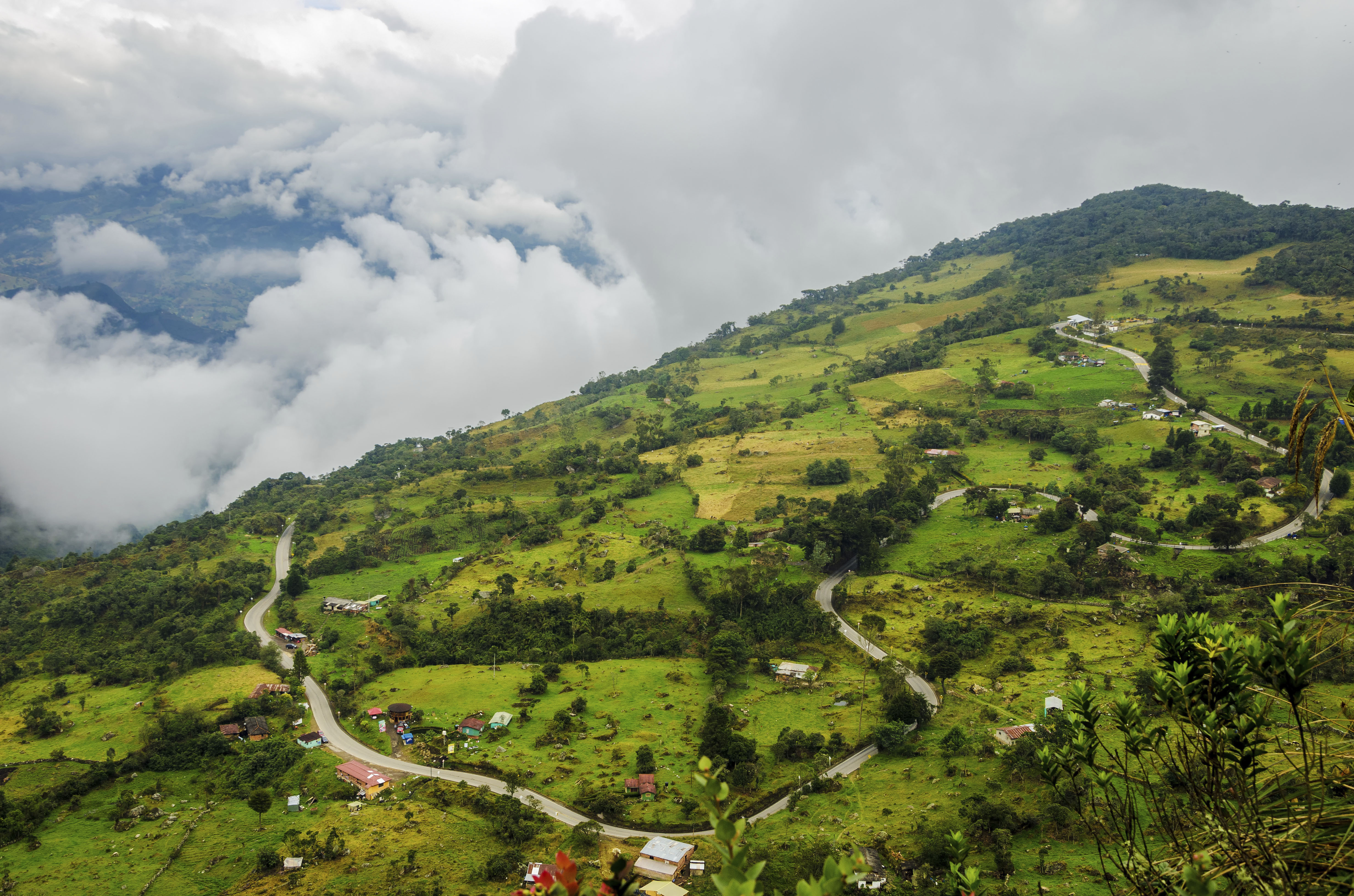 Colombia_Coffee_Triangle