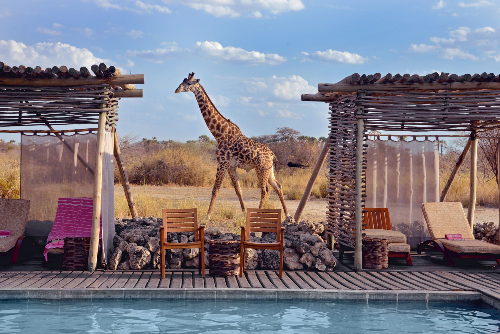 Tanzania Chem Chem Safari Lodge