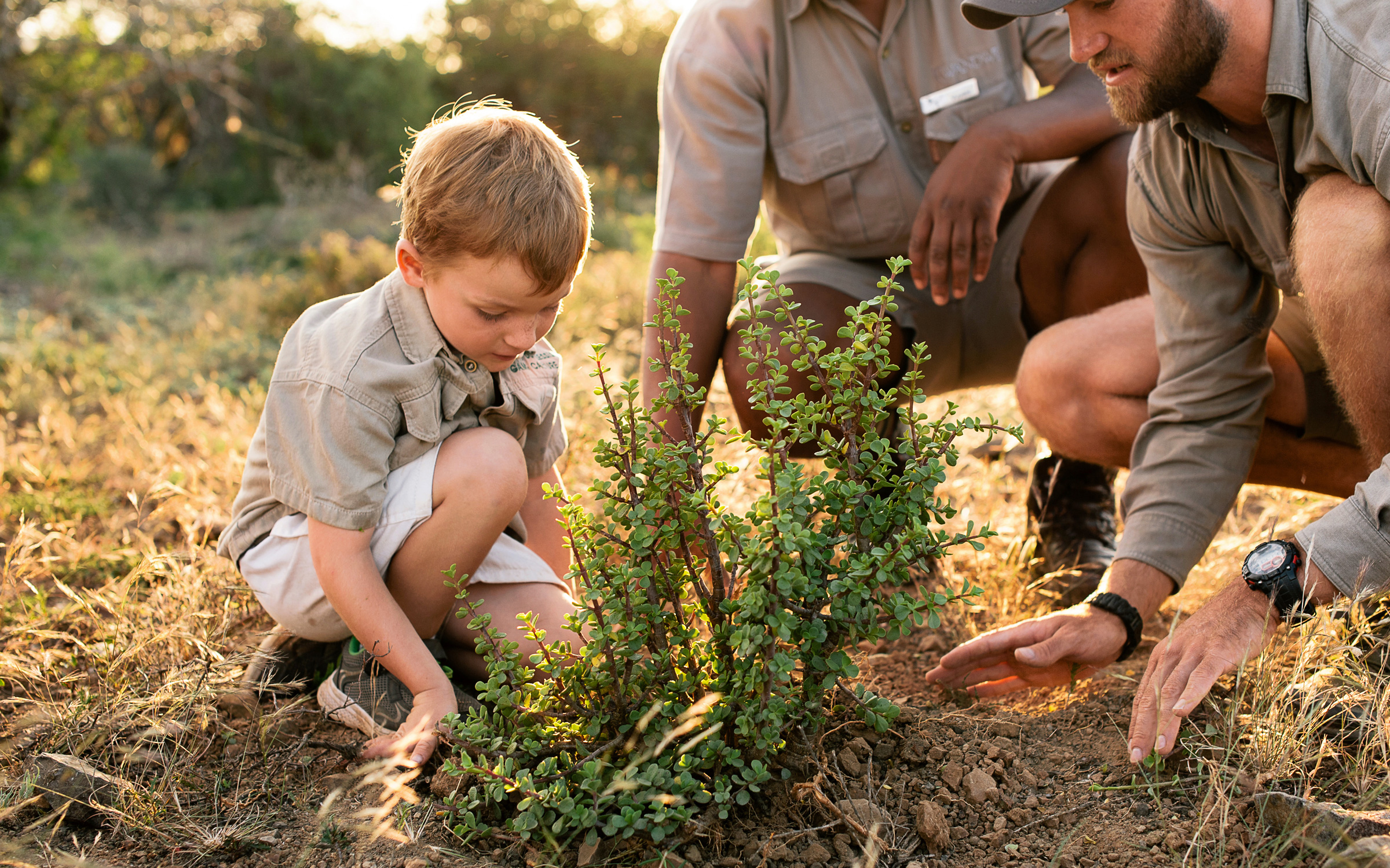 A South Africa Family Safari