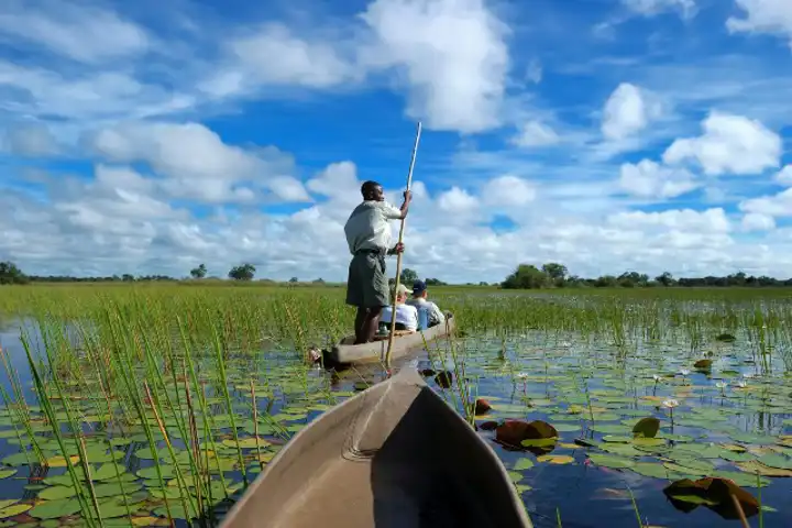 Botswana Luxury Honeymoon Botswana Luxury Safari
