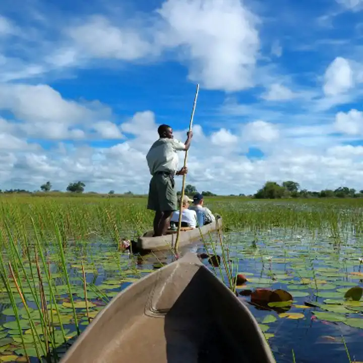Botswana Luxury Honeymoon Botswana Luxury Safari