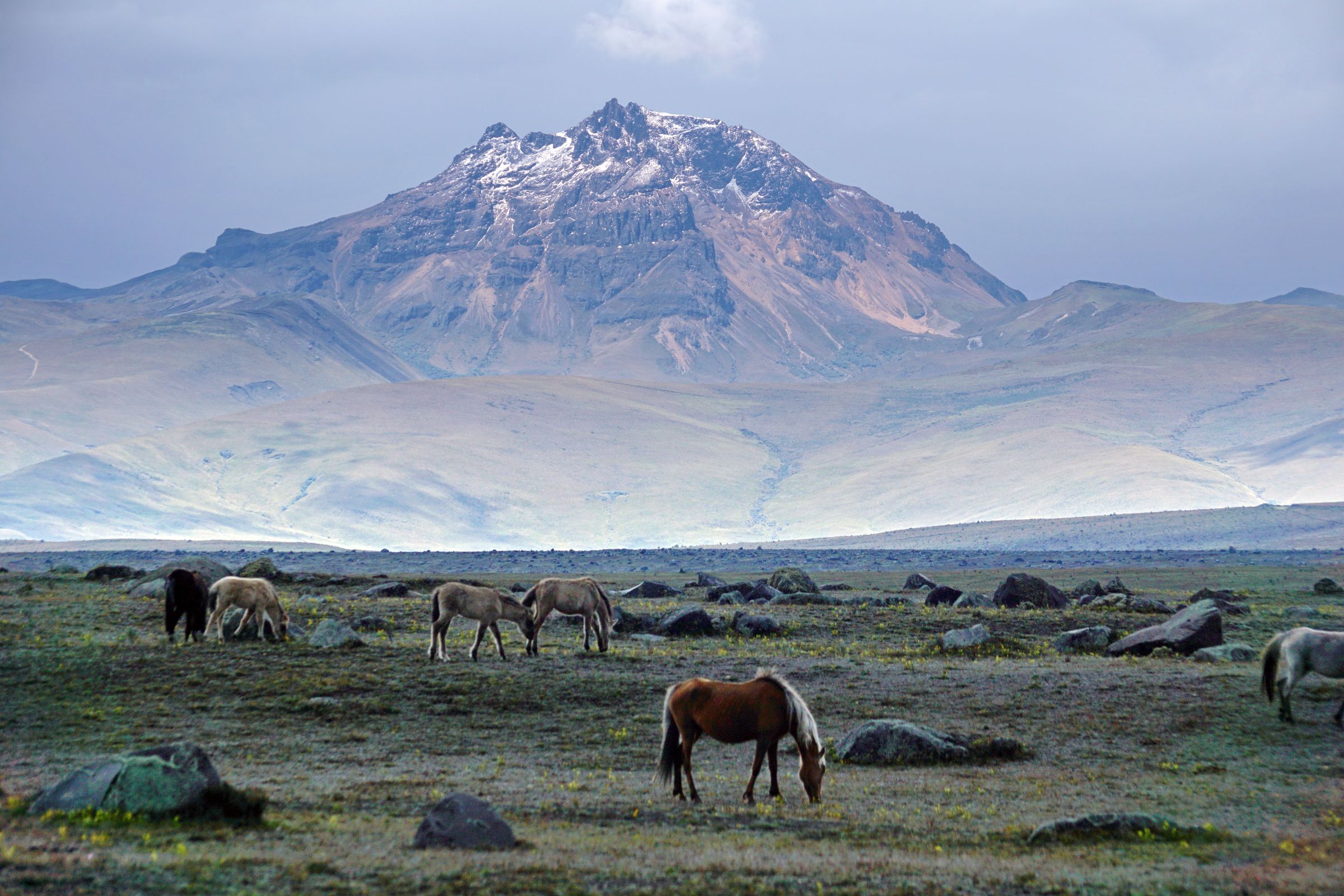 Luxury Ecuador Travel - The Amazon and Andes