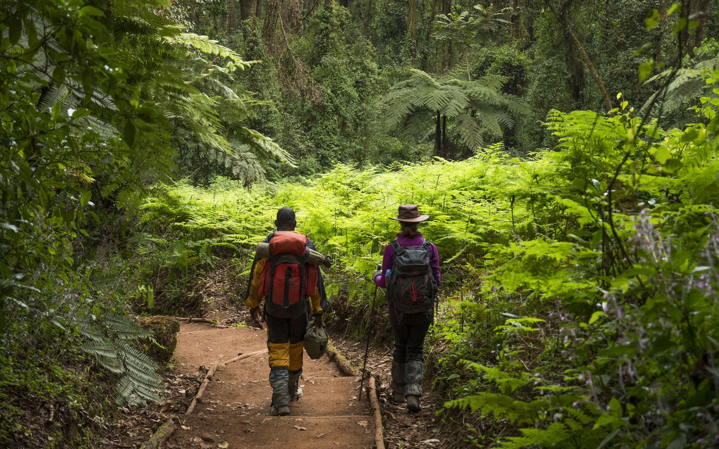 Kilimanjaro Climb